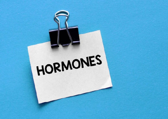 Why are hormones important for men's health?