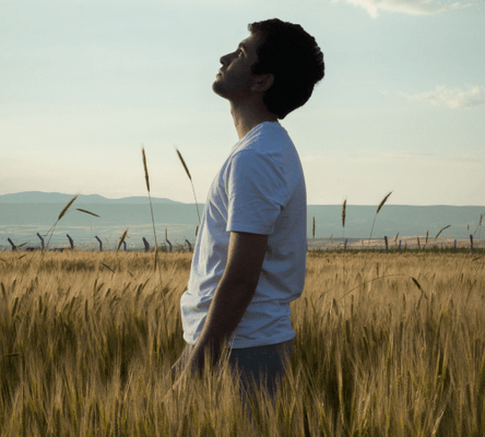 All you need to know about the stress hormones