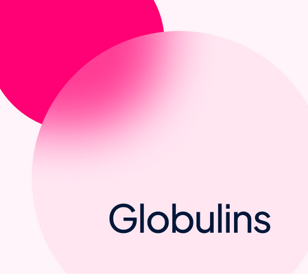 What are globulins?