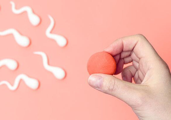 What are the main causes of female infertility?