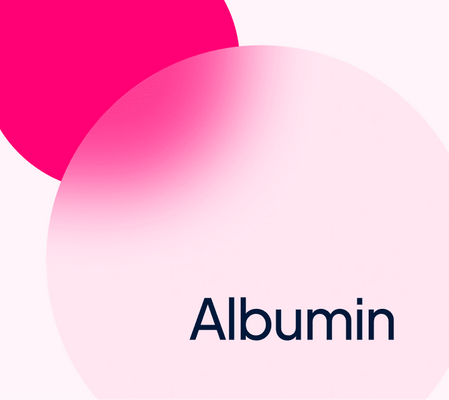 What is albumin?