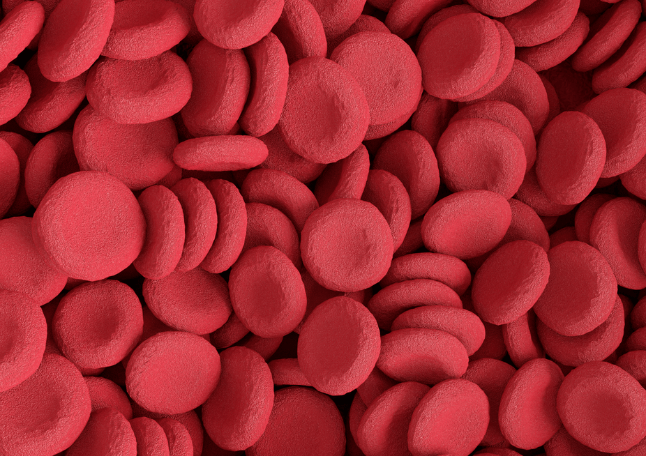 what-is-blood-and-what-does-it-do?