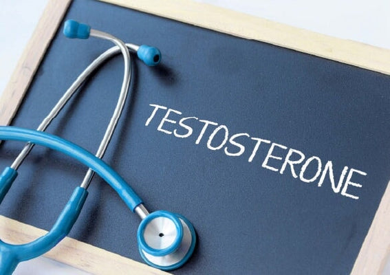 What is testosterone and how can you boost your levels?
