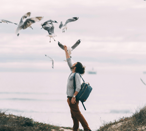 Who is most at risk of vitamin D deficiency in the UK?