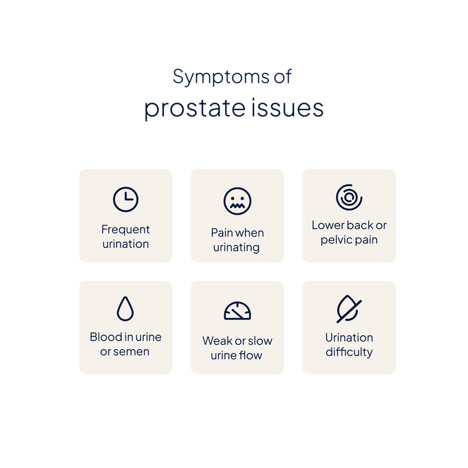 PSA (Prostate Specific Antigen) Blood Test