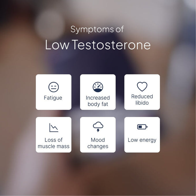 Graphic titled ‘Symptoms of Low Testosterone’ showing icons for fatigue, increased body fat, reduced libido, loss of muscle mass, mood changes and low energy.